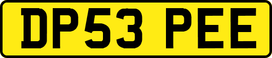 DP53PEE