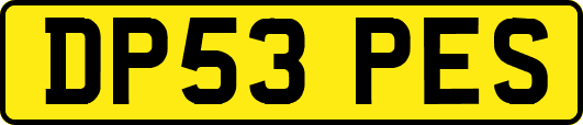 DP53PES