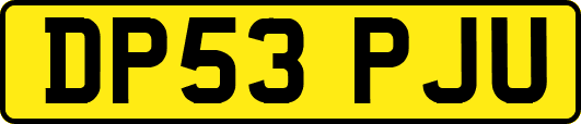 DP53PJU