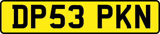 DP53PKN