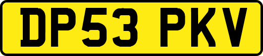 DP53PKV