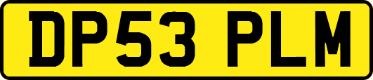 DP53PLM