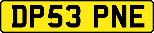 DP53PNE