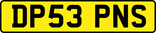DP53PNS
