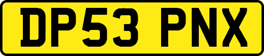 DP53PNX