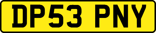 DP53PNY