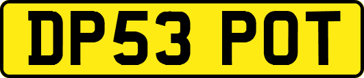DP53POT