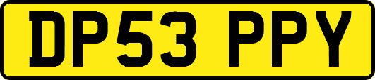 DP53PPY