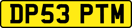 DP53PTM