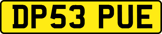 DP53PUE
