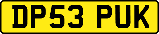 DP53PUK