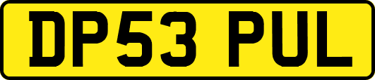 DP53PUL