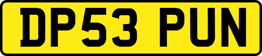DP53PUN