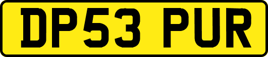 DP53PUR