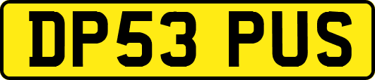 DP53PUS