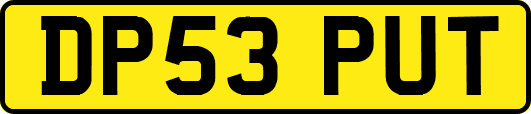 DP53PUT