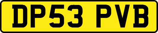DP53PVB