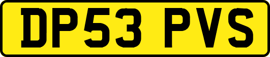 DP53PVS