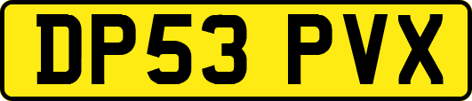 DP53PVX