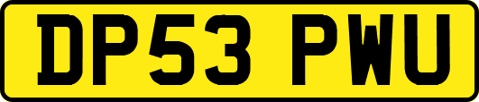 DP53PWU