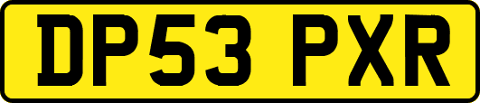 DP53PXR