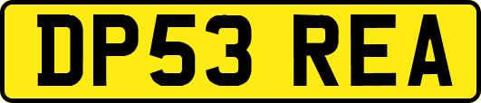DP53REA