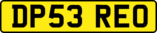 DP53REO
