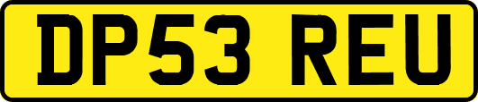 DP53REU