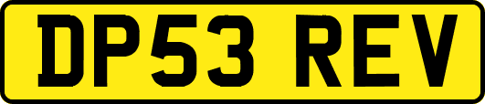 DP53REV