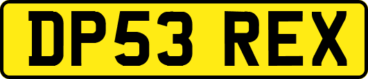 DP53REX