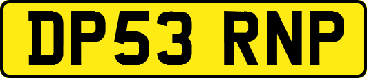 DP53RNP