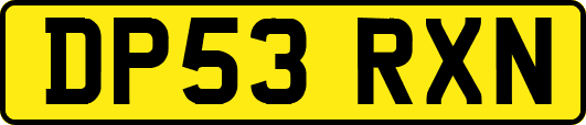 DP53RXN