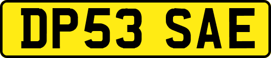 DP53SAE