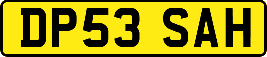 DP53SAH