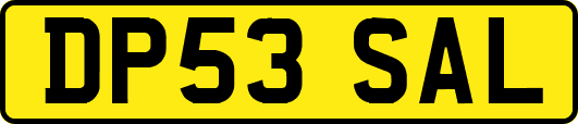 DP53SAL
