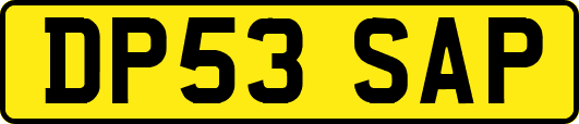 DP53SAP