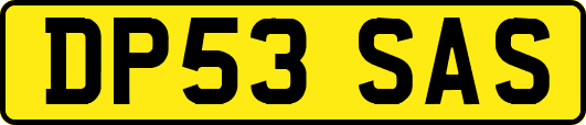 DP53SAS