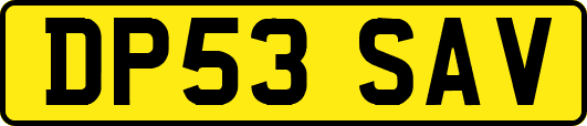 DP53SAV