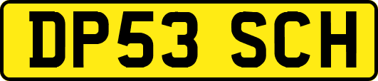 DP53SCH