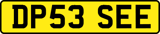 DP53SEE
