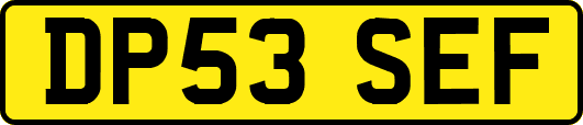 DP53SEF