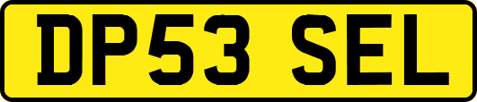 DP53SEL