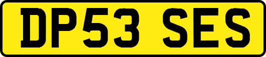 DP53SES