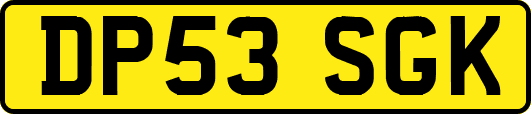 DP53SGK