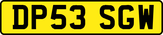 DP53SGW