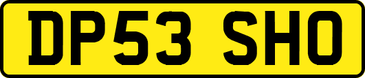 DP53SHO