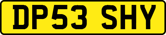 DP53SHY