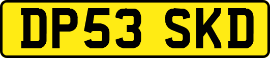 DP53SKD