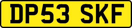 DP53SKF