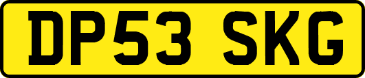 DP53SKG